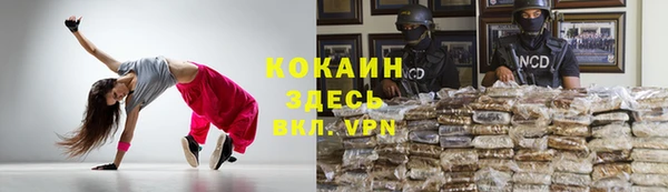крисы Елабуга