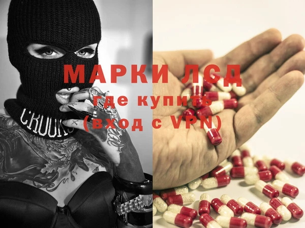 крисы Елабуга