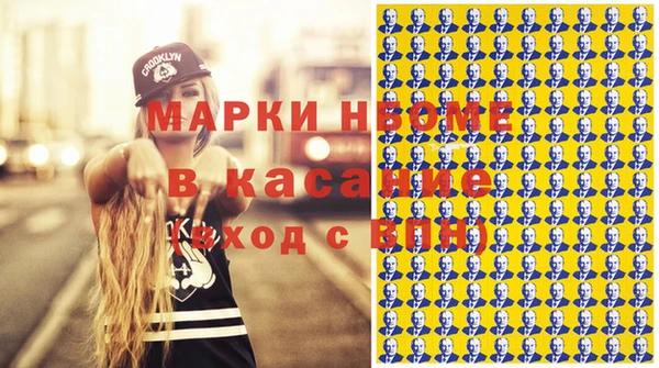крисы Елабуга