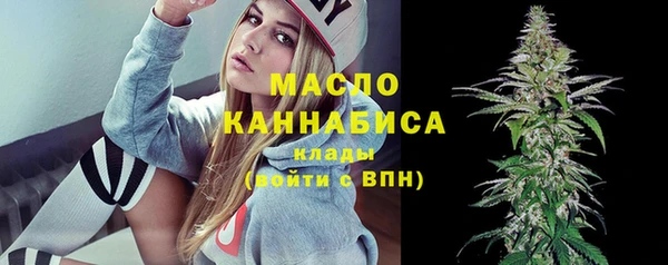 крисы Елабуга