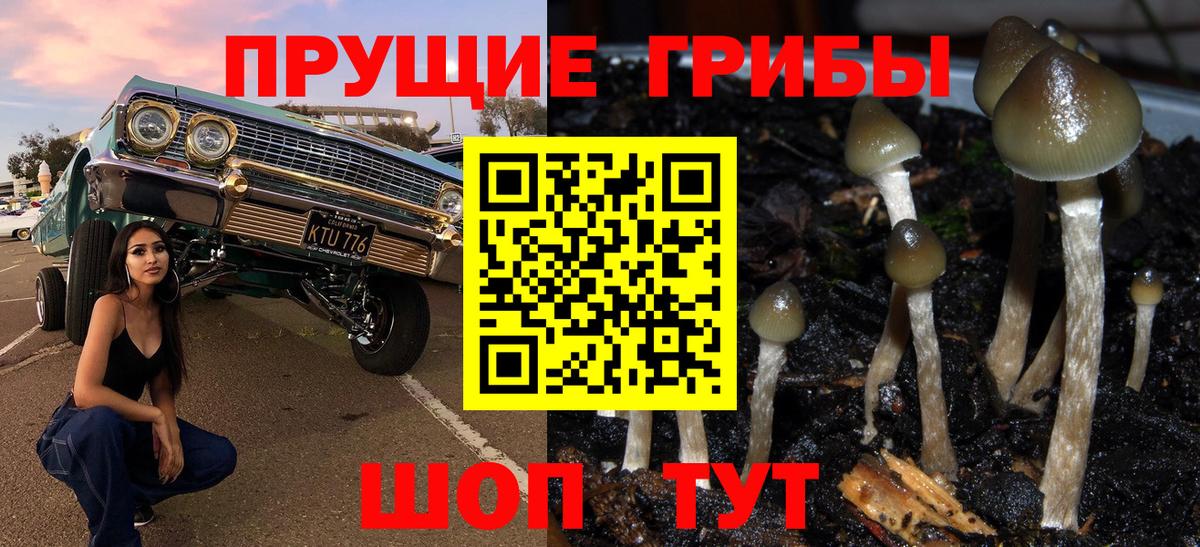 Псилоцибиновые грибы ЛСД  Вход с VPN  Галлюциногенные грибы Psilocybine cubensis  Биробиджан 